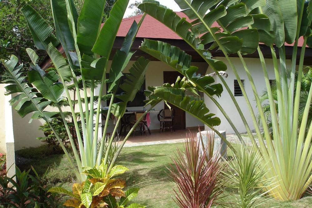 Alona Swiss Resort Panglao City Exterior foto